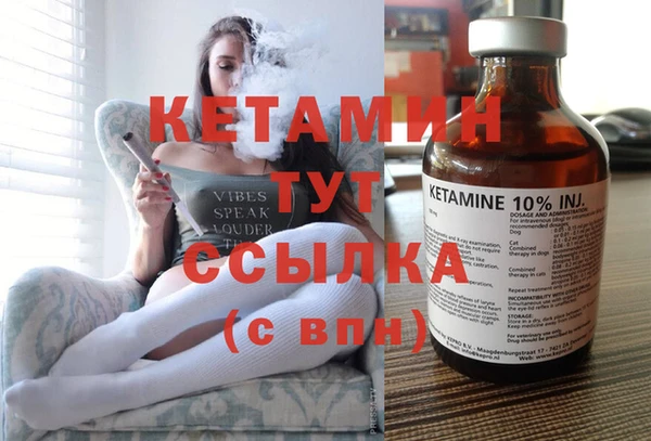 сатива Новодвинск
