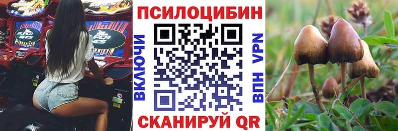 Псилоцибиновые грибы Psilocybine cubensis  Янаул 